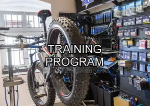 Learn How to Fix Ebike’S and Evs