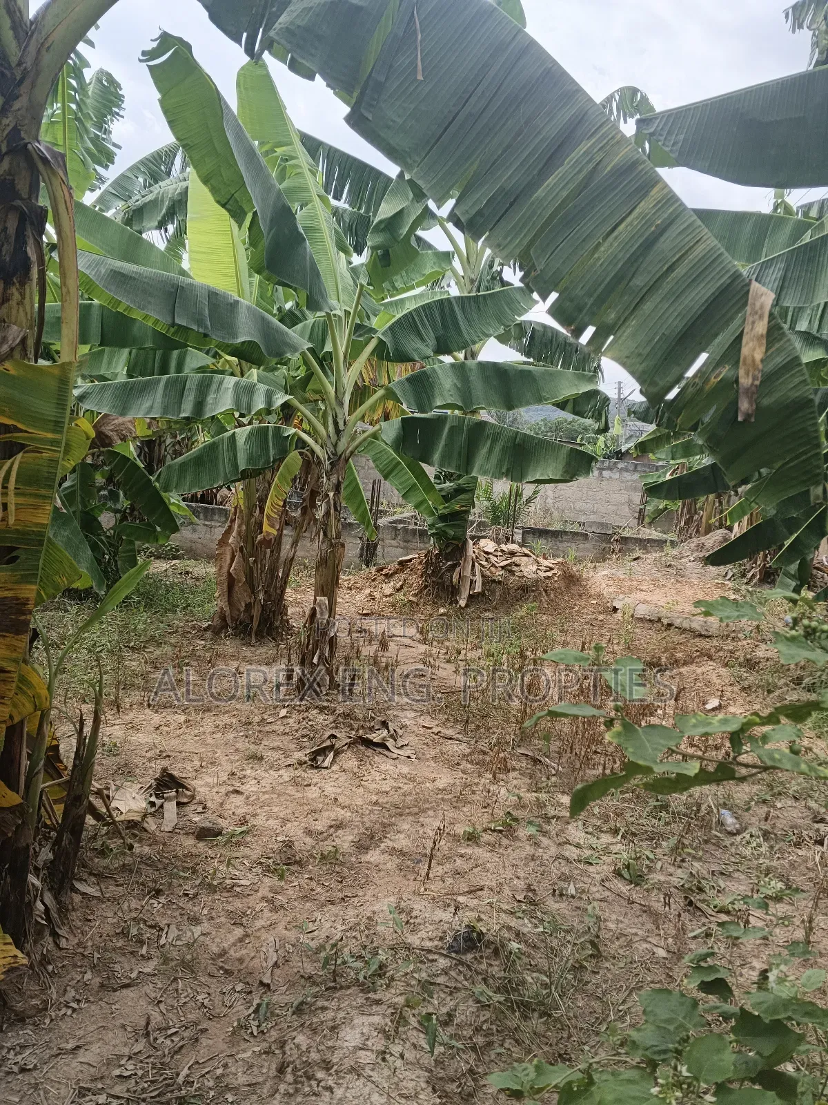 A Plot of Land With Footing for Sale at Oyarifa Teiman