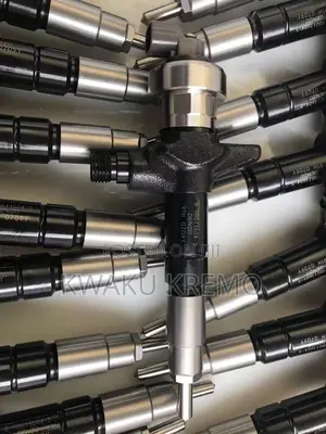 Diesel Fuel Injectors