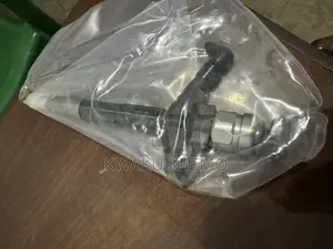 Diesel Fuel Injectors