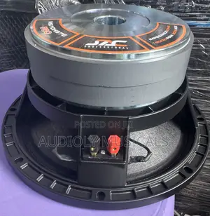 Double Magnet 10-Inches Naked Speaker