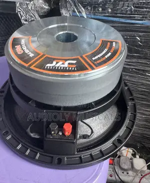 Double Magnet 10-Inches Naked Speaker