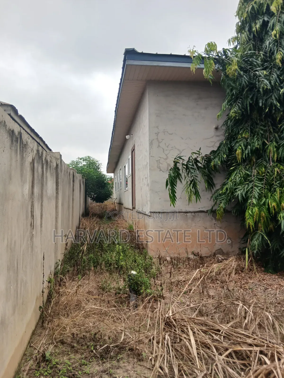 5bdrm House in Tech Appiadu Knust, Kumasi Metropolitan for sale