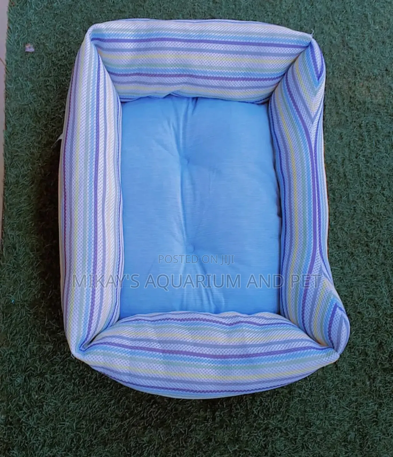 Cute Dog Beds