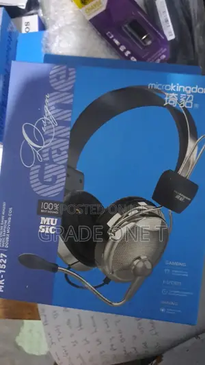 Multimedia Headset