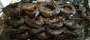 Catfish Smoked and Live