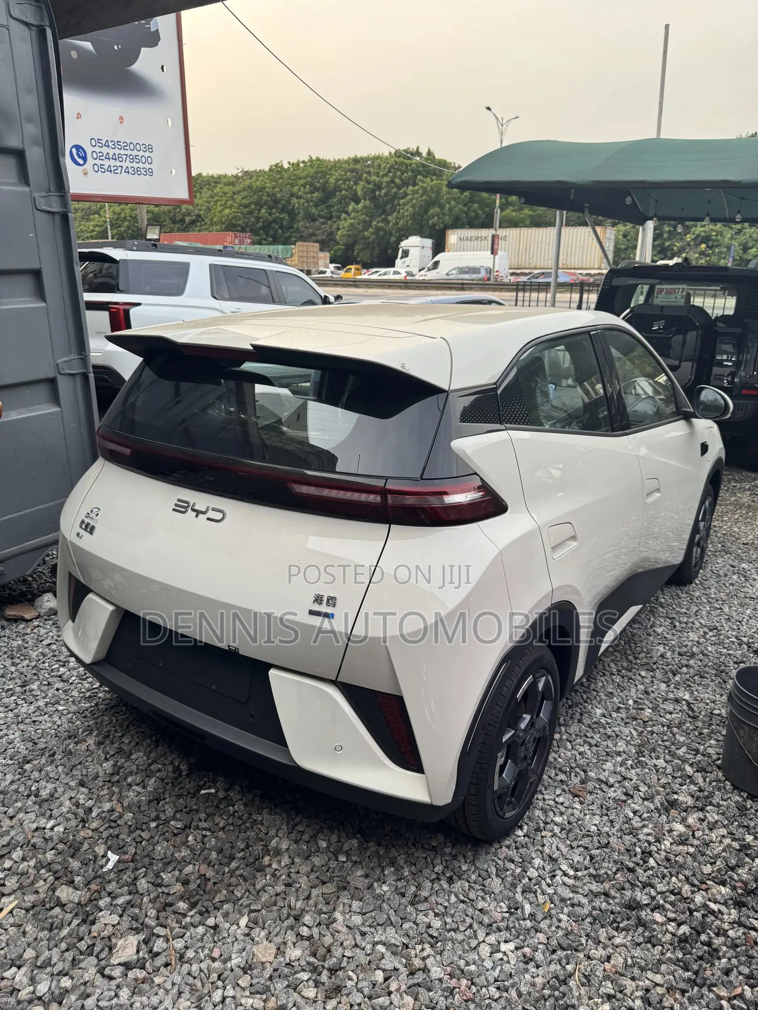 New BYD Seagull 2025 White