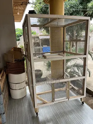 Big Bird Cage
