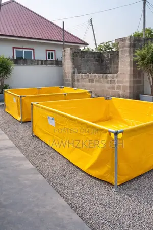 Start Your Fish Farming