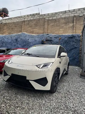 New BYD Seagull 2025 White