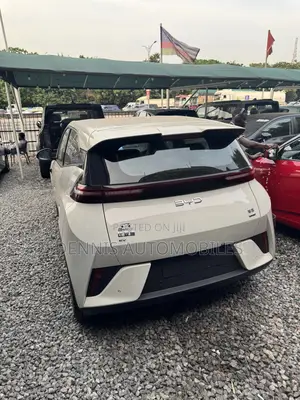 New BYD Seagull 2025 White