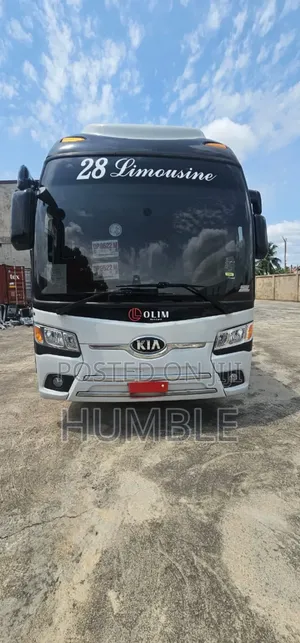 Kia Granbird 2012 Beige