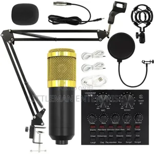 Sound Card With Microphone Bm800 V8