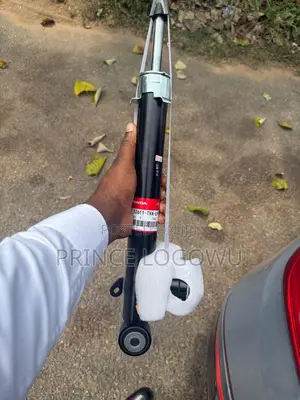 Rear or Back Honda Accord Touring Shocks