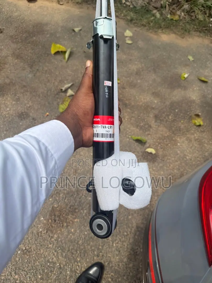 Rear or Back Honda Accord Touring Shocks