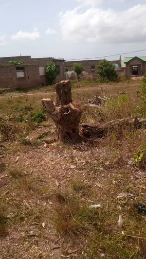 70 X 100 Plot Of Land For Sale At Ga-south