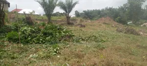 A Plot for Sale at Kwabre East Safo