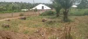 A Plot for Sale at Kwabre East Safo