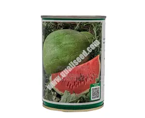 Watermelon Seeds - Kayack [100g]