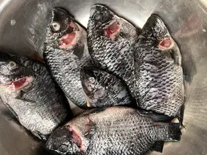 Fresh Tilapia And Red Fish