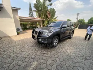 Toyota Land Cruiser Prado 2011 Gray