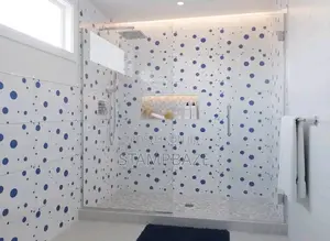 Professional Tiler Tiles Tiling