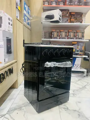 Spectacular Performance Ailyon Gas Electric Cooker Oven Rotisserie 3-1