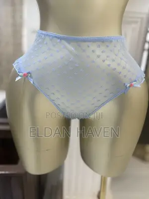 Transparent Plus Size Panties