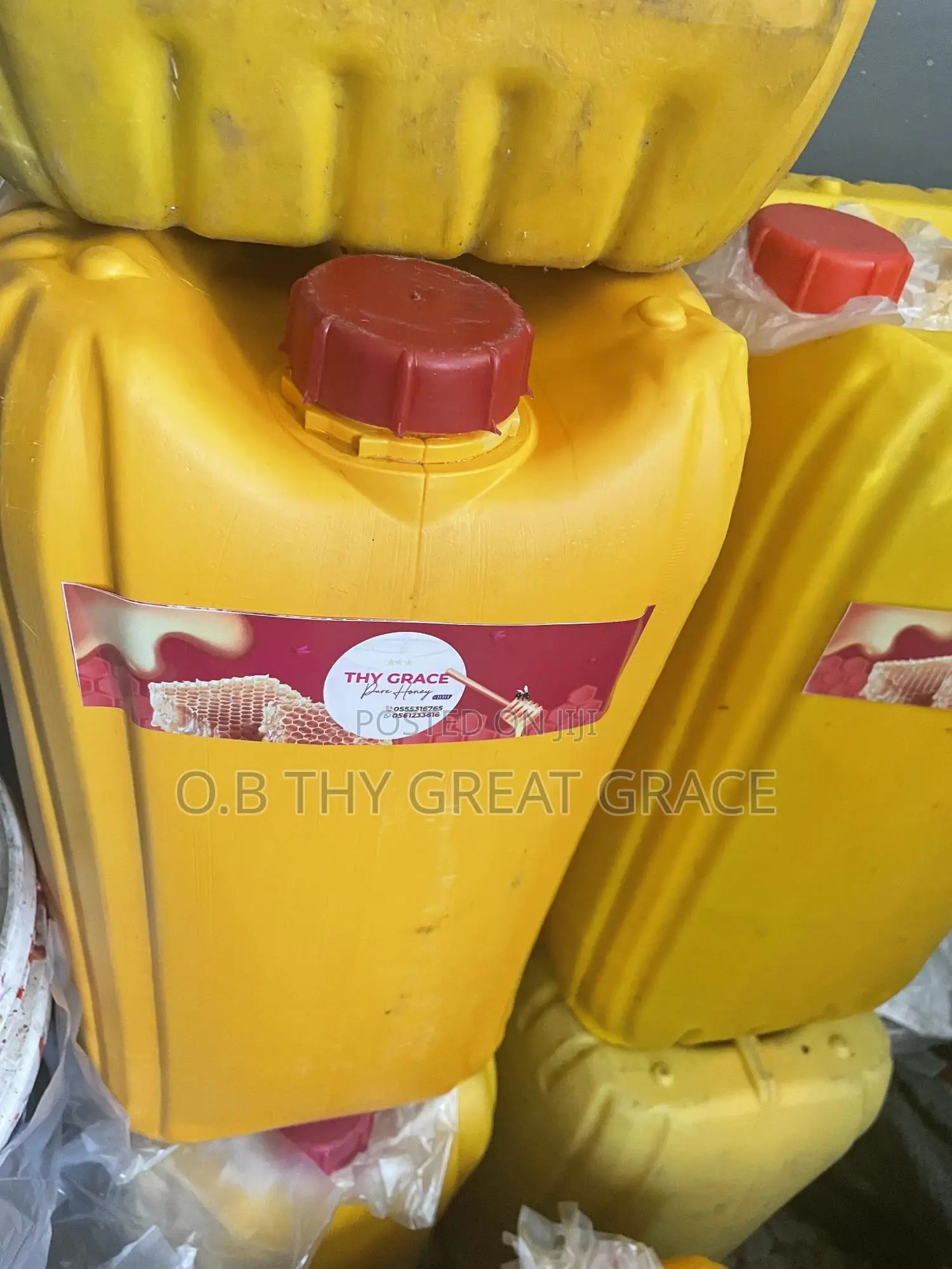 Raw and Unprocessed Forest Bee Honey
