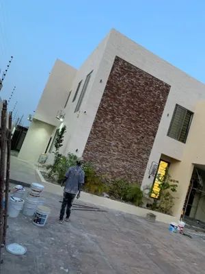 Professional Graffiato Anti Salt Paint /Decor