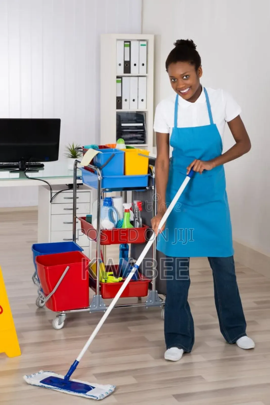 House and Office Cleaning