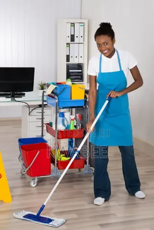 House and Office Cleaning