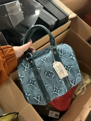 Louis Vuitton Ladies Bag