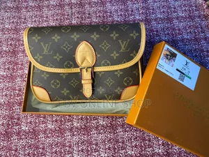 Louis Vuitton Ladies Bag