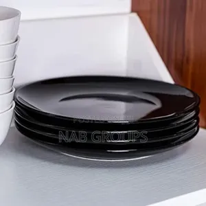 6pcs Elegant Dinnerplates
