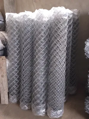 Galvanized And Coated Chain Link