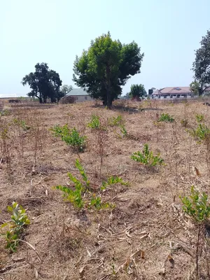 A Plot of Land at Chanshegu for Sale