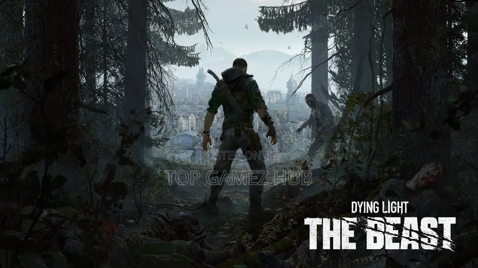 Pc Games Files and Installation