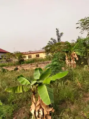 Land for Sale at Tuc