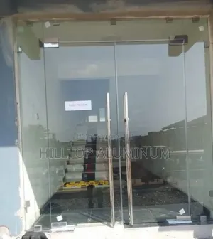 Frameless Swing Door