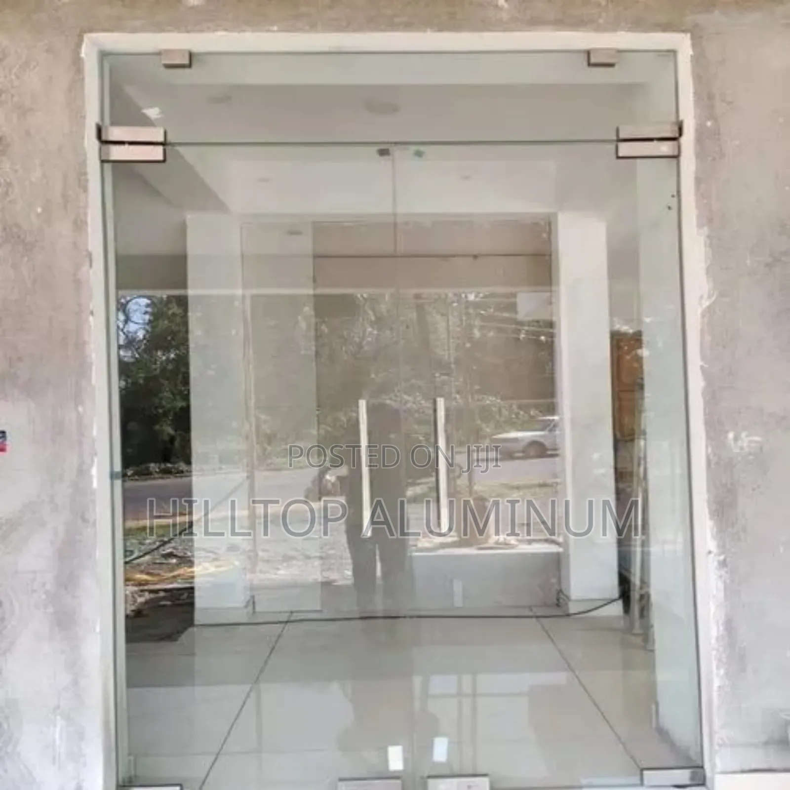 Frameless Swing Door
