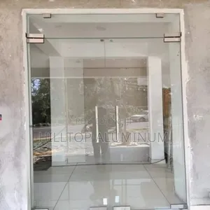 Frameless Swing Door