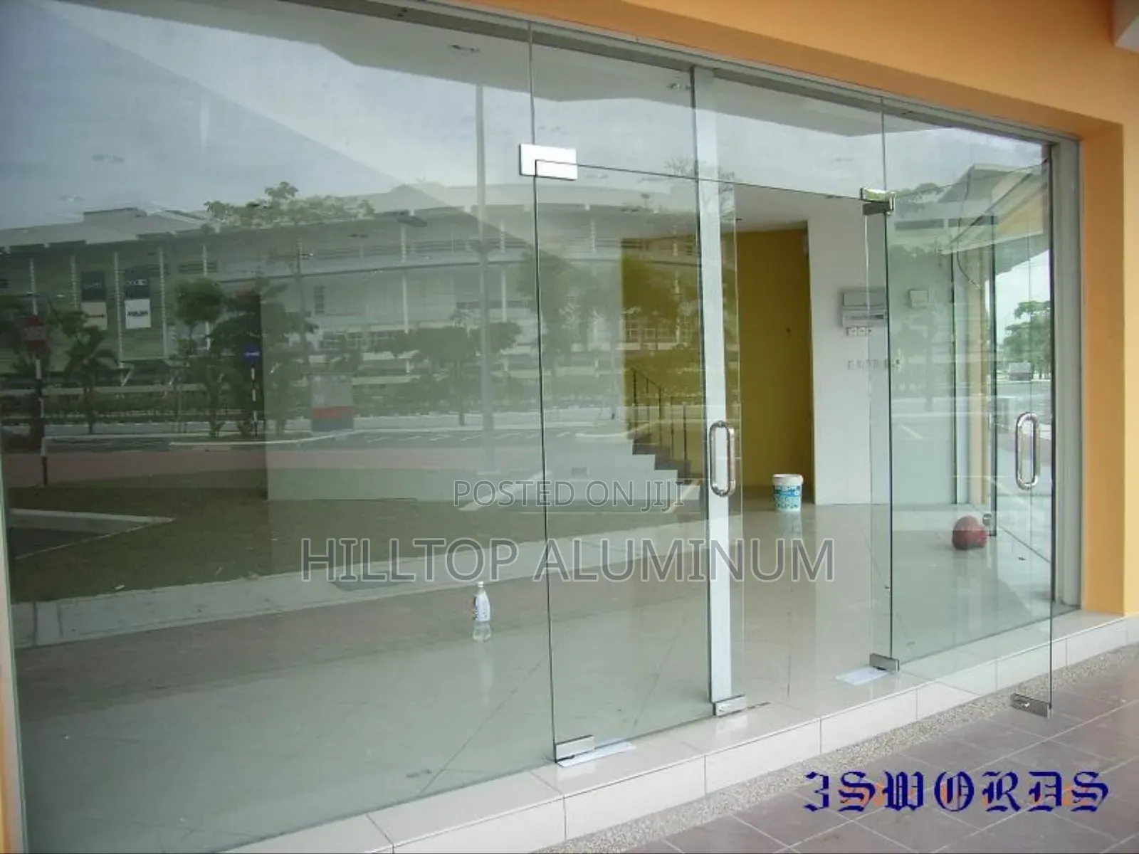 Frameless Swing Door