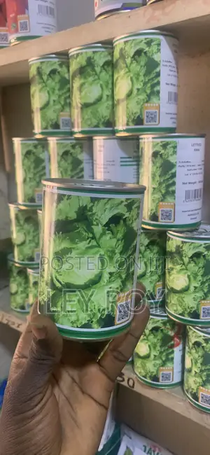 Lettuce (Eden)