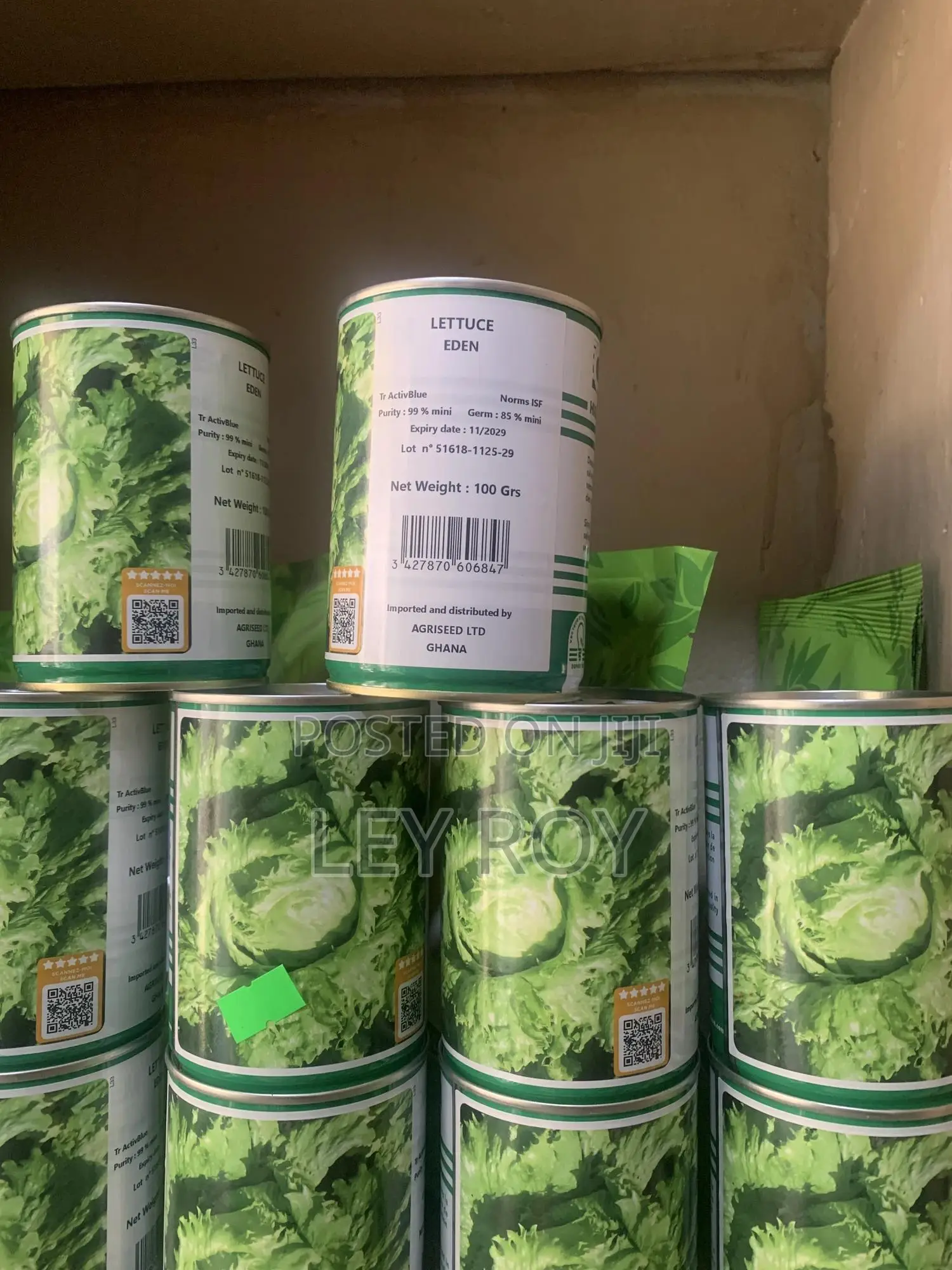 Lettuce (Eden)