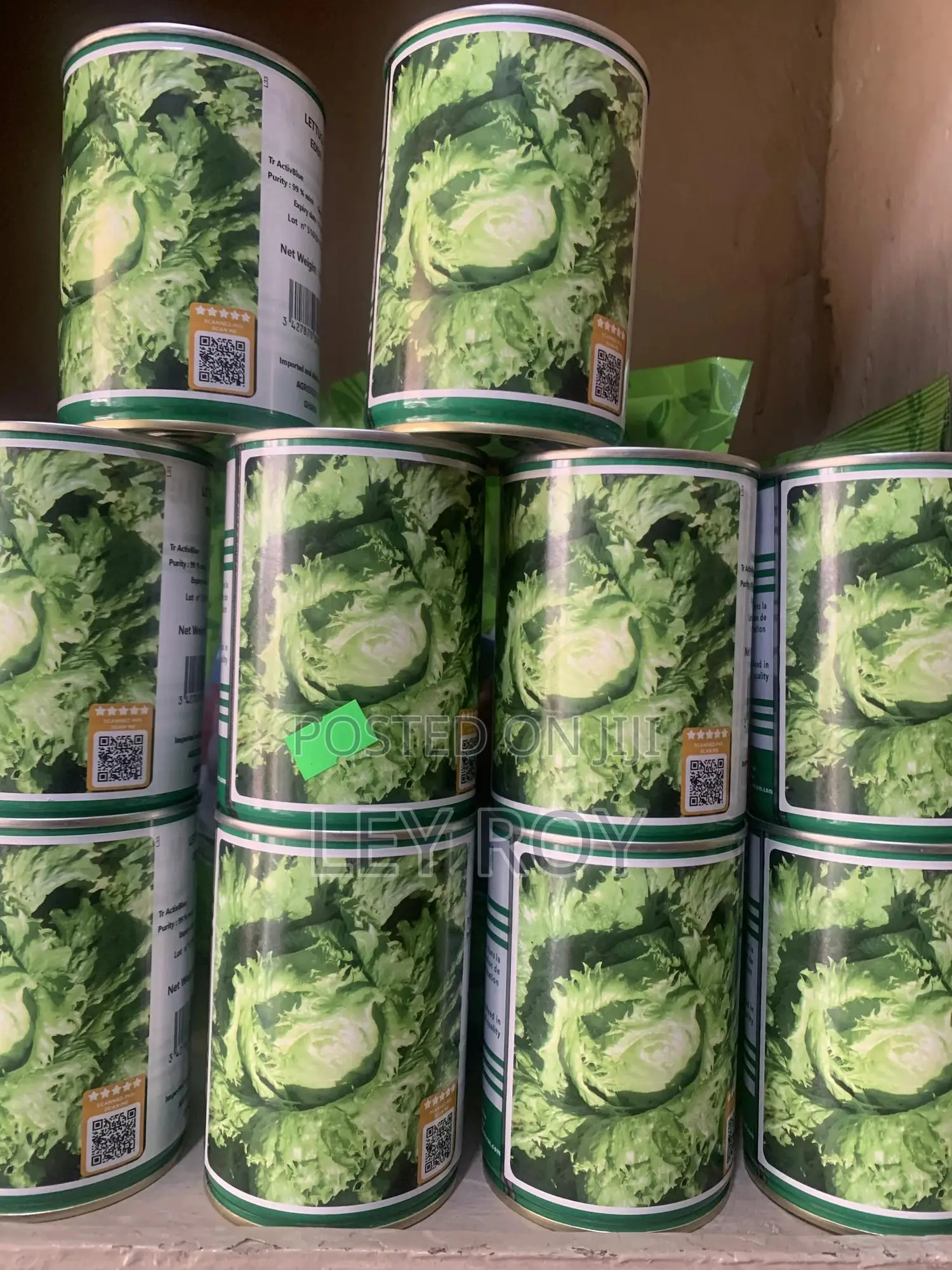 Lettuce (Eden)