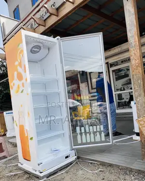 Sleek Design Zara-600dfg Single Door Electric Refrigerator 