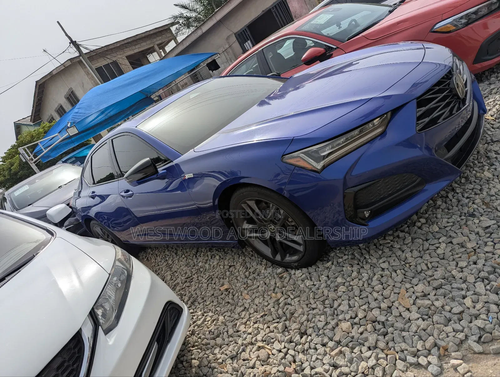 Acura TLX w/A-Spec Package 2024 Blue