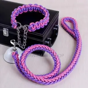 Woven Leash With P-Choke Chain