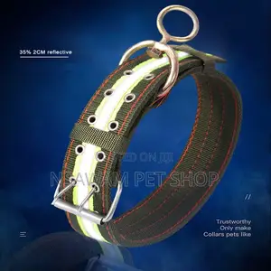 Heavy Duty Nylon Collar With Reflective Strip